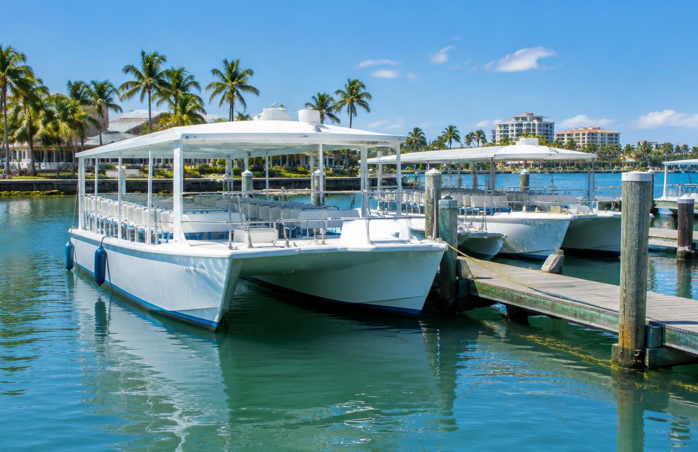 Commercial passenger tour catamarans at a palm-lined Gulf Coast marina